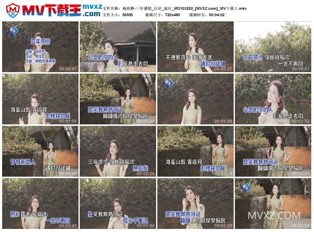 杨欣桦-三年感情_台语_流行_MD103252